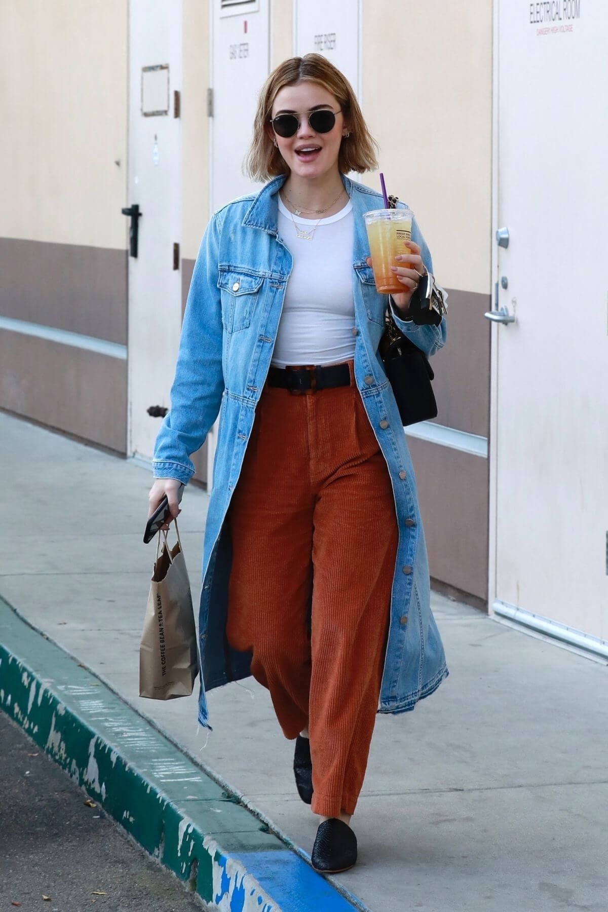 Lucy Hale Out and About in Studio City 2018/12/16