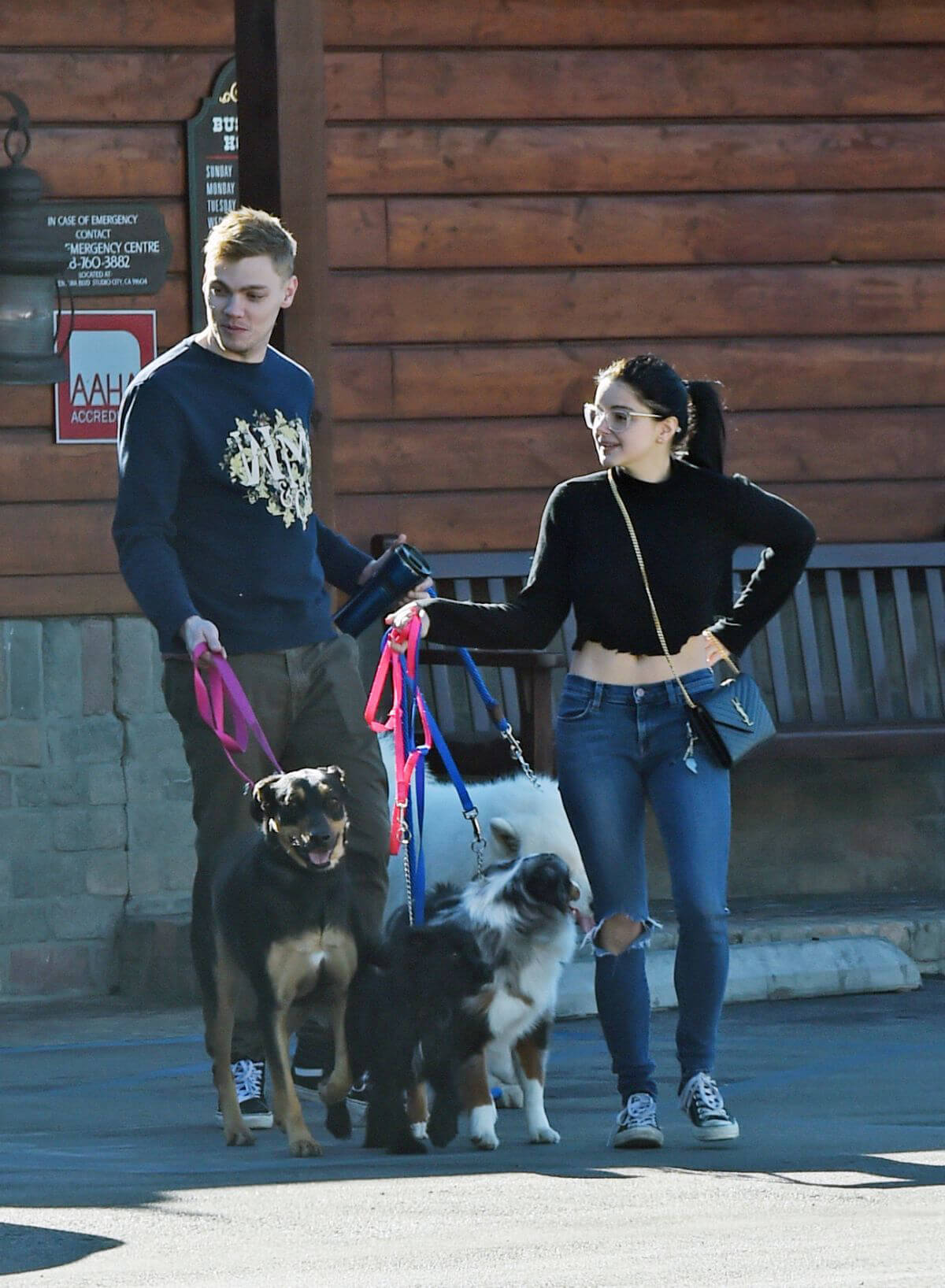 Ariel Winter and Levi Meaden Out with Their Dogs in Los Angeles 2018/12/30