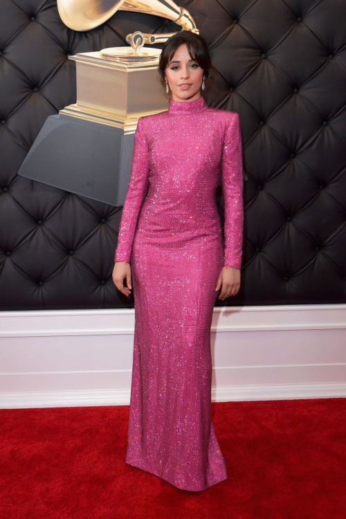 Camila Cabello Gorgeous Beauty Looks in 61st Grammy Awards - February 13, 2019 10