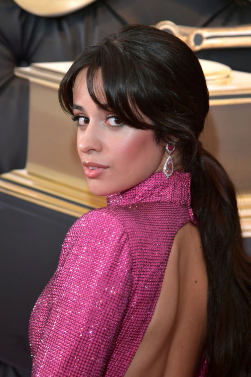 Camila Cabello Gorgeous Beauty Looks in 61st Grammy Awards - February 13, 2019 11
