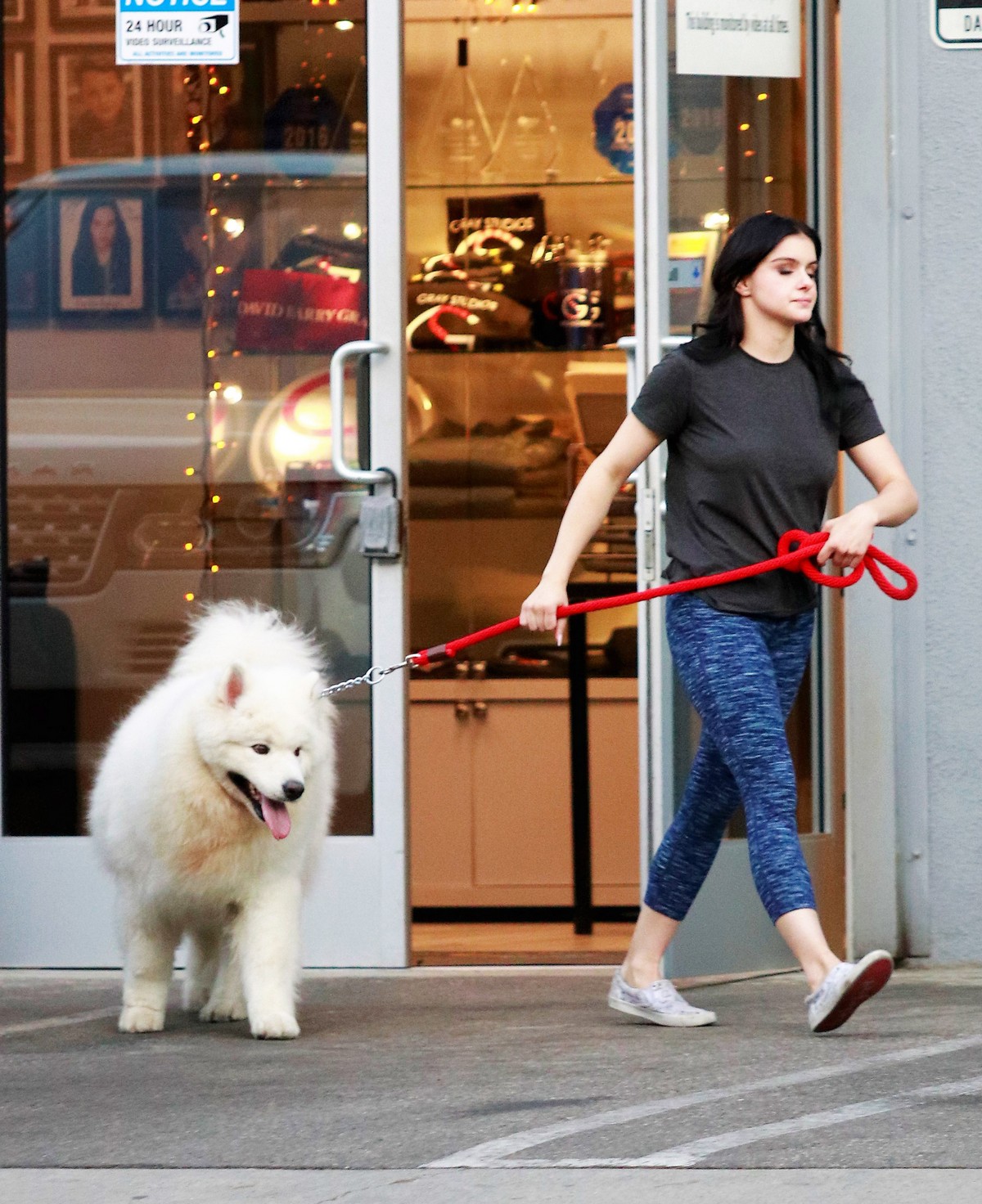 Ariel Winter seen with her dogs at a salon in Los Angeles 2019/11/04