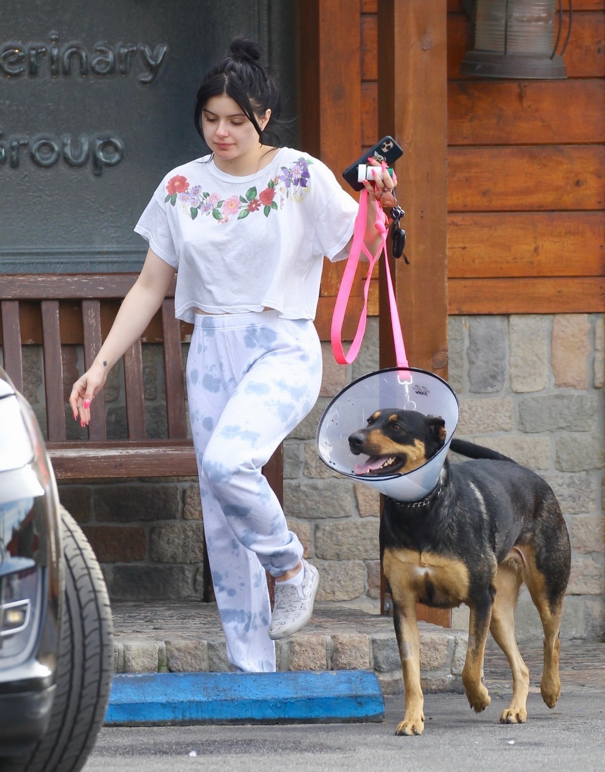 Ariel Winter with her dogs after visiting the vet in Studio City 2020/01/31