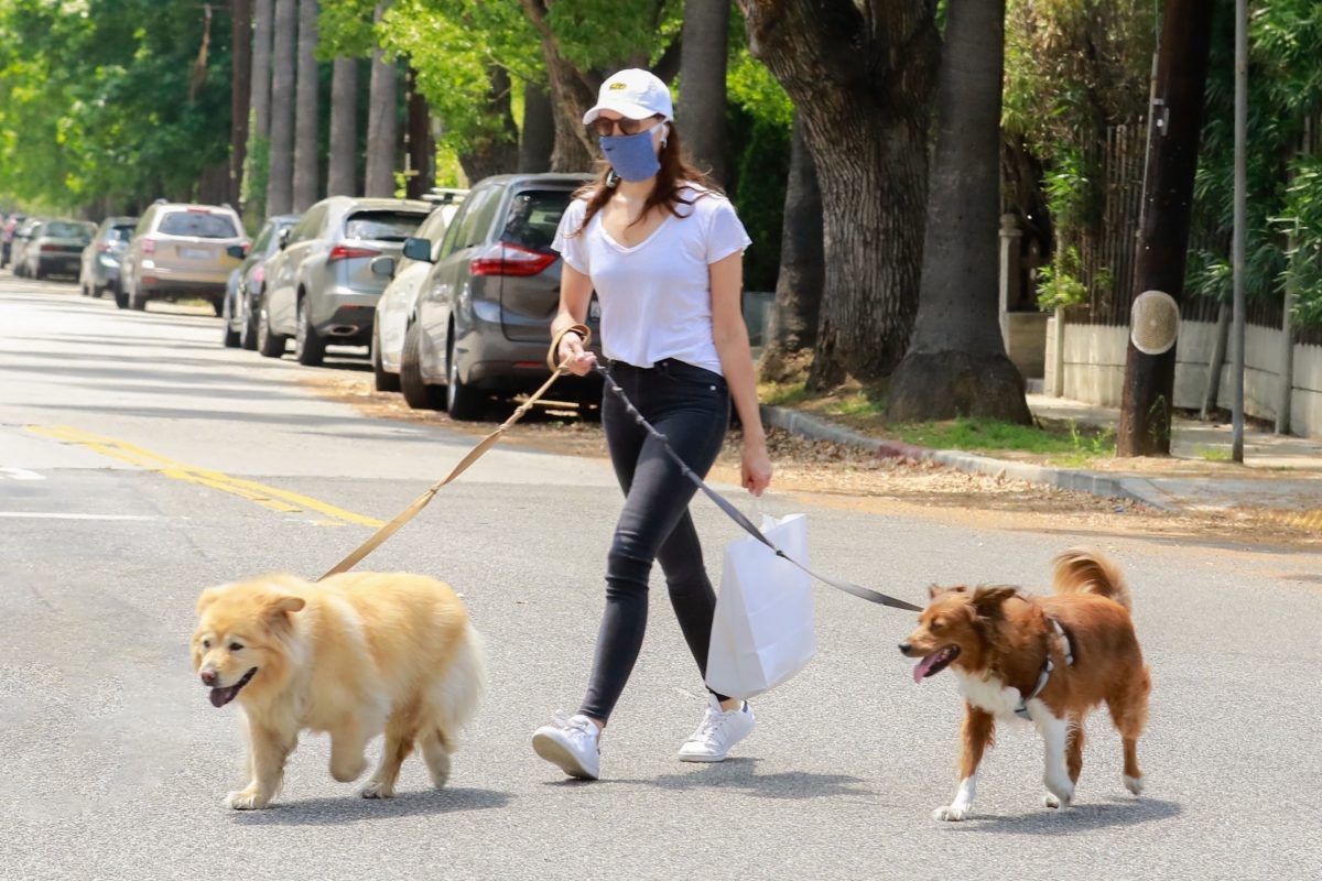 Aubrey Plaza walks with her dogs to the Pet Store in Los Feliz 2020/05/09