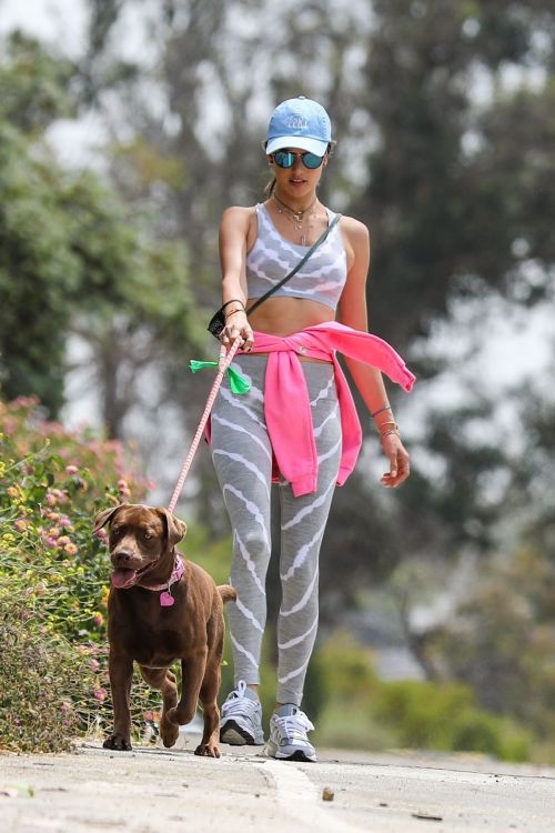 Alessandra Ambrosio Out with Her Dog in Pacific Palisades 2020/06/02