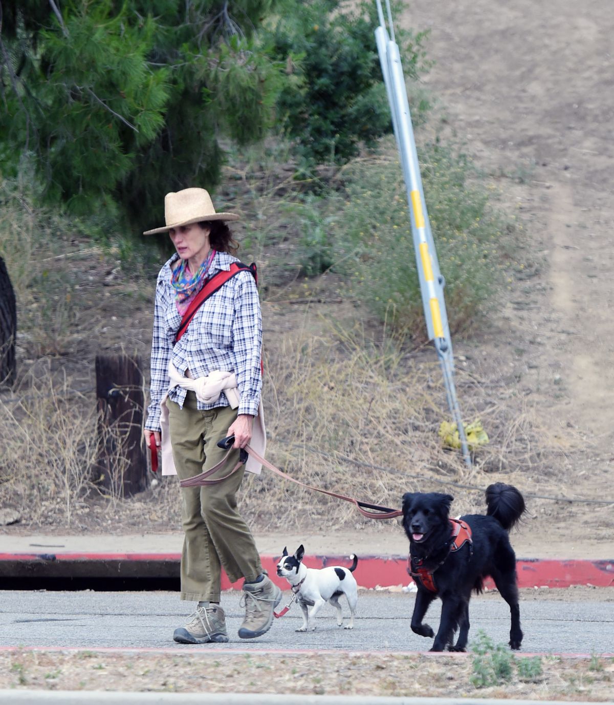 Andie MacDowell Out Hiking with Her Dogs in Los Angeles 2020/06/11