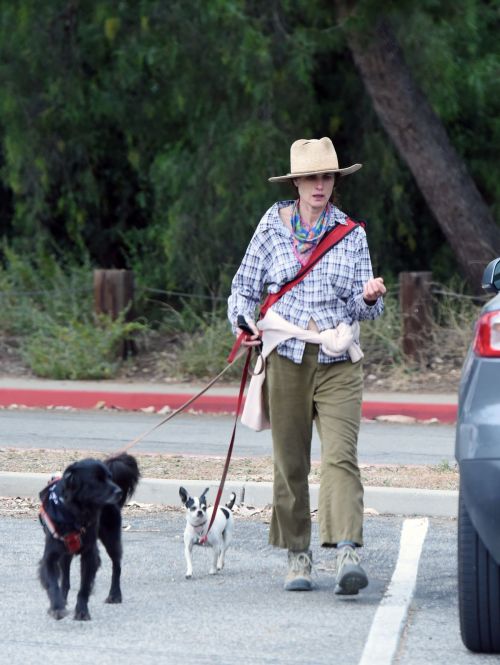 Andie MacDowell Out Hiking with Her Dogs in Los Angeles 2020/06/11 9