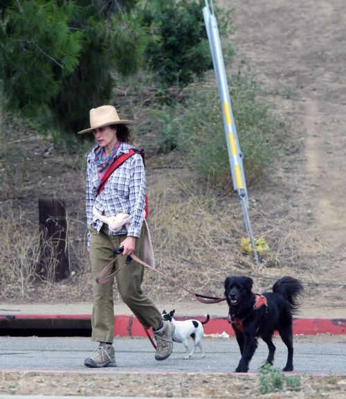 Andie MacDowell Out Hiking with Her Dogs in Los Angeles 2020/06/11 1
