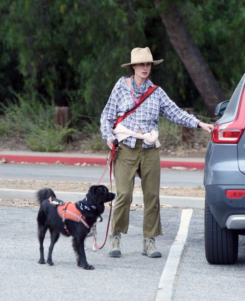Andie MacDowell Out Hiking with Her Dogs in Los Angeles 2020/06/11 2