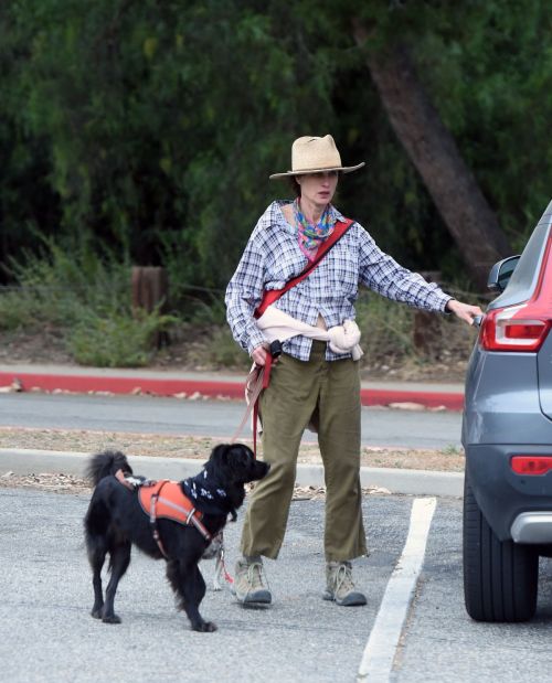 Andie MacDowell Out Hiking with Her Dogs in Los Angeles 2020/06/11 3