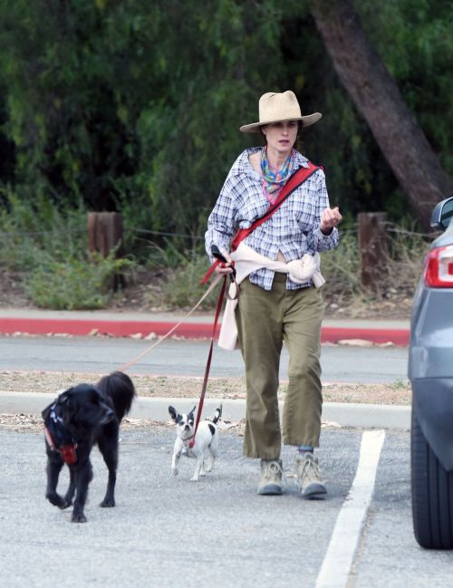 Andie MacDowell Out Hiking with Her Dogs in Los Angeles 2020/06/11 4