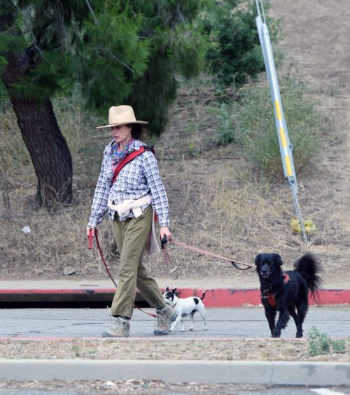 Andie MacDowell Out Hiking with Her Dogs in Los Angeles 2020/06/11 5
