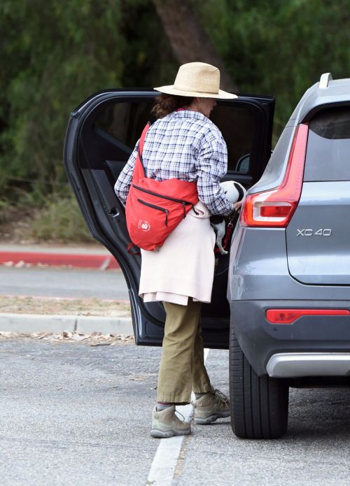 Andie MacDowell Out Hiking with Her Dogs in Los Angeles 2020/06/11 6
