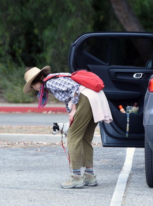 Andie MacDowell Out Hiking with Her Dogs in Los Angeles 2020/06/11