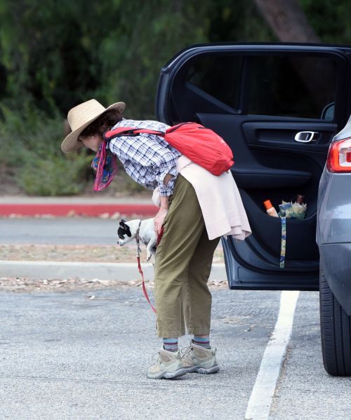 Andie MacDowell Out Hiking with Her Dogs in Los Angeles 2020/06/11 8