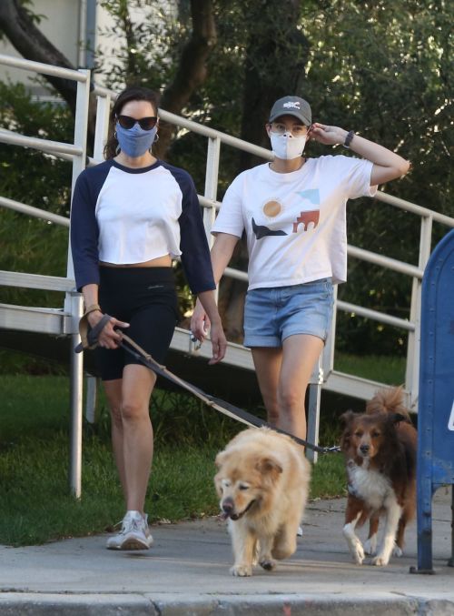 Aubrey Plaza Out with Her Dogs in Los Feliz 2020/06/11 1
