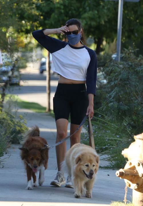 Aubrey Plaza Out with Her Dogs in Los Feliz 2020/06/11 7