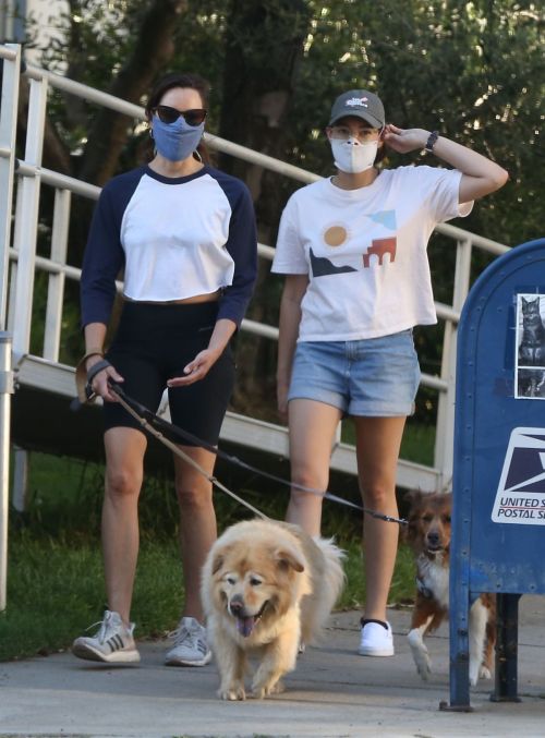 Aubrey Plaza Out with Her Dogs in Los Feliz 2020/06/11 9