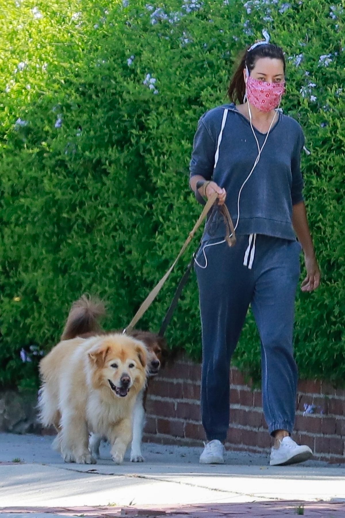 Aubrey Plaza Out with Her Dogs in Los Feliz 2020/06/14