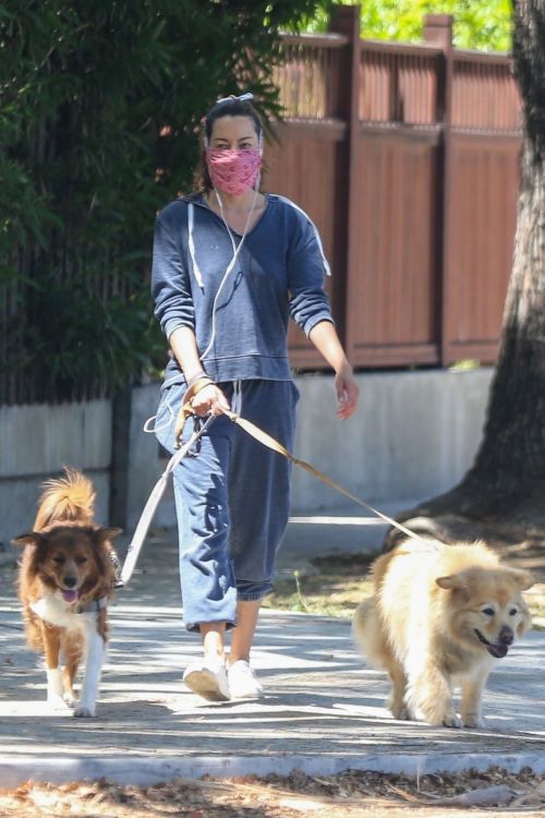 Aubrey Plaza Out with Her Dogs in Los Feliz 2020/06/14 1