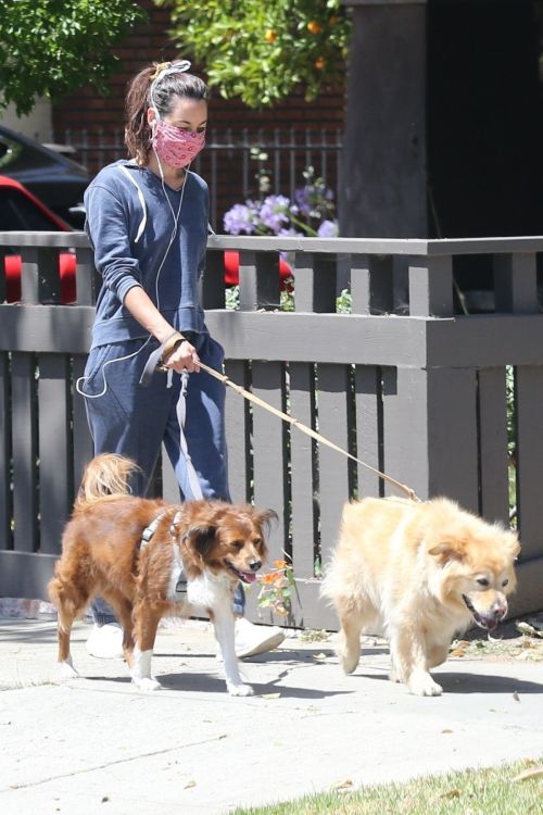 Aubrey Plaza Out with Her Dogs in Los Feliz 2020/06/14