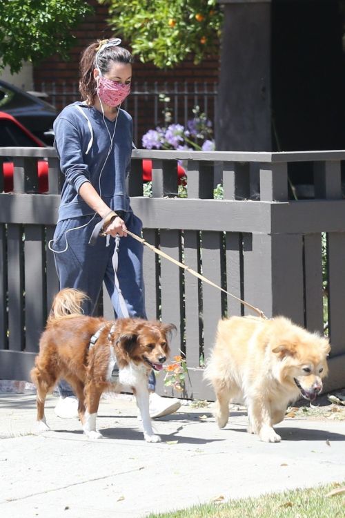 Aubrey Plaza Out with Her Dogs in Los Feliz 2020/06/14 4