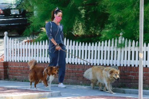 Aubrey Plaza Out with Her Dogs in Los Feliz 2020/06/14 8