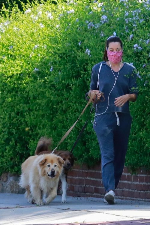 Aubrey Plaza Out with Her Dogs in Los Feliz 2020/06/14