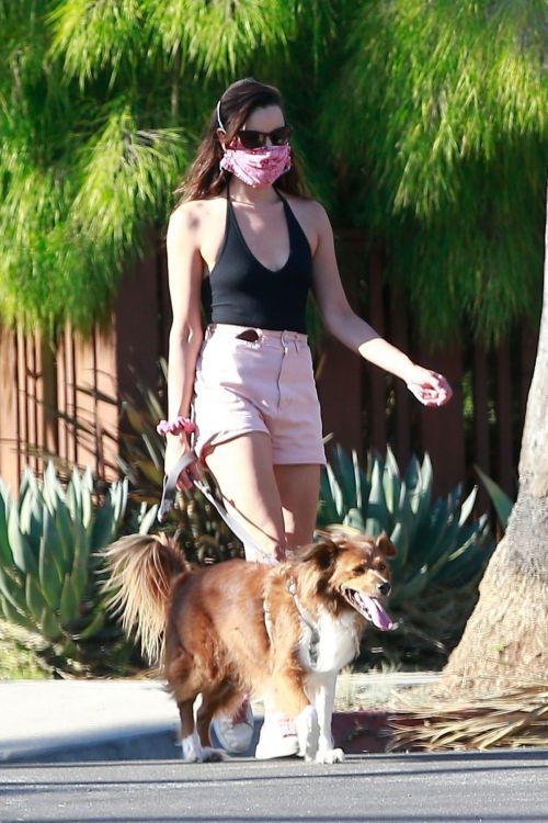 Aubrey Plaza Walks Her Dogs Out in Los Feliz 2020/06/10 1