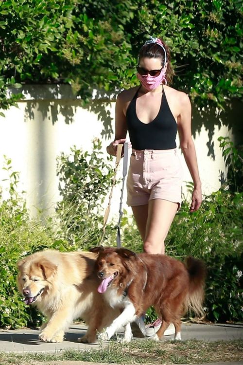 Aubrey Plaza Walks Her Dogs Out in Los Feliz 2020/06/10 2