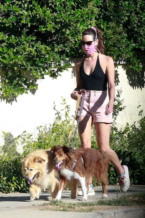 Aubrey Plaza Walks Her Dogs Out in Los Feliz 2020/06/10
