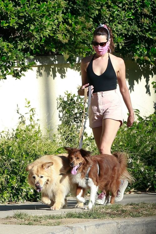 Aubrey Plaza Walks Her Dogs Out in Los Feliz 2020/06/10 5