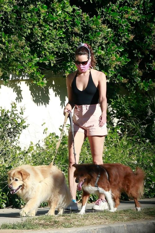 Aubrey Plaza Walks Her Dogs Out in Los Feliz 2020/06/10 6