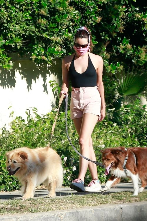 Aubrey Plaza Walks Her Dogs Out in Los Feliz 2020/06/10 7