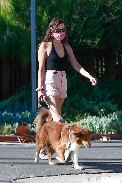Aubrey Plaza Walks Her Dogs Out in Los Feliz 2020/06/10 9