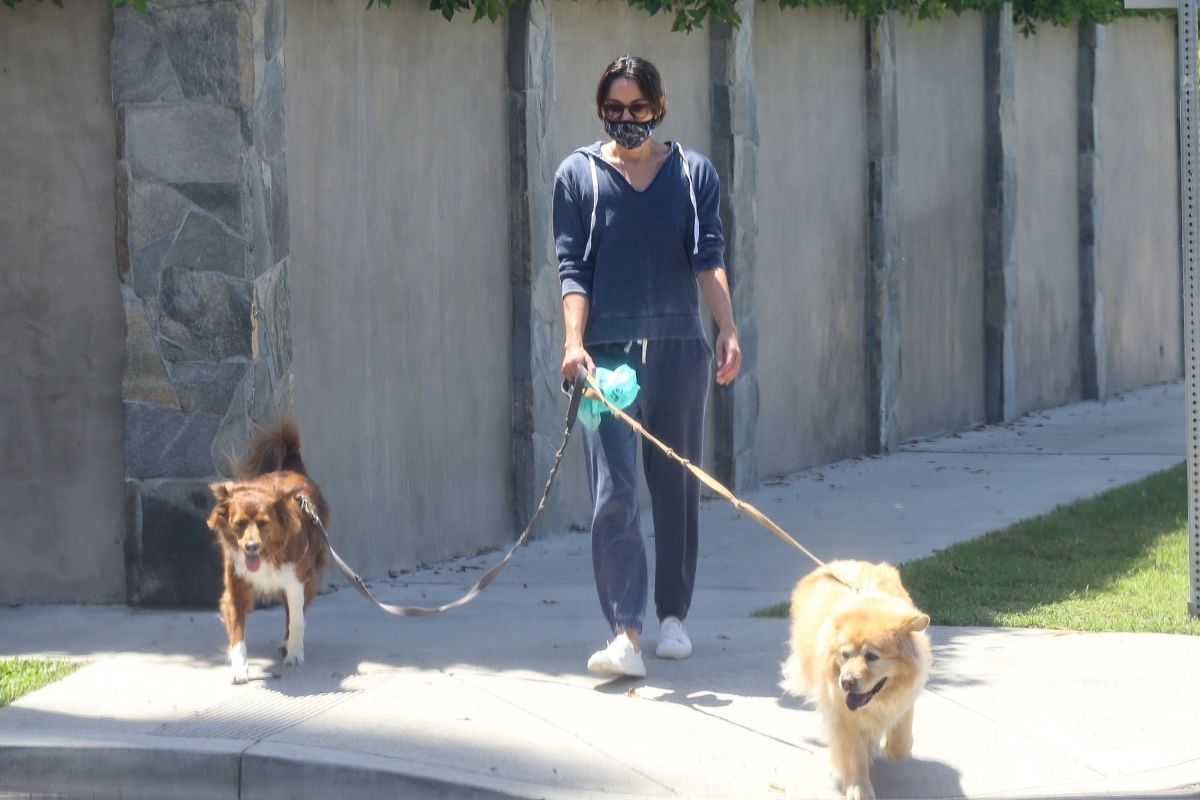 Aubrey Plaza Walks Her Dogs Out in Los Feliz 2020/06/13