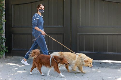 Aubrey Plaza Walks Her Dogs Out in Los Feliz 2020/06/13 1