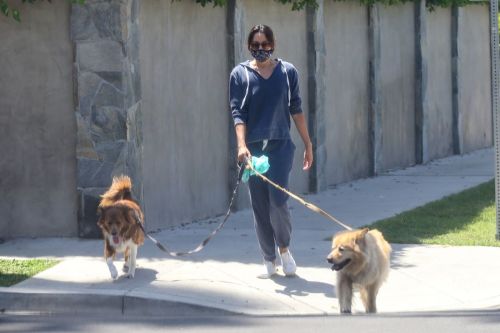 Aubrey Plaza Walks Her Dogs Out in Los Feliz 2020/06/13