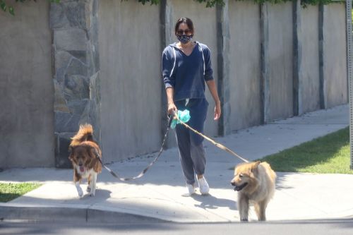 Aubrey Plaza Walks Her Dogs Out in Los Feliz 2020/06/13 2