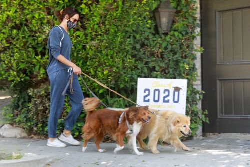 Aubrey Plaza Walks Her Dogs Out in Los Feliz 2020/06/13 11