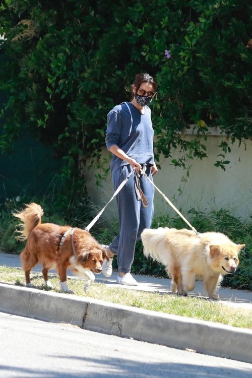 Aubrey Plaza Walks Her Dogs Out in Los Feliz 2020/06/13 12