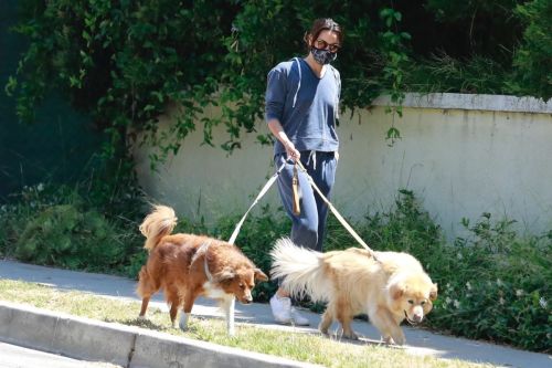 Aubrey Plaza Walks Her Dogs Out in Los Feliz 2020/06/13 1