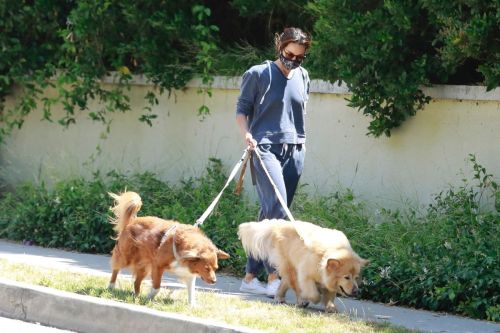 Aubrey Plaza Walks Her Dogs Out in Los Feliz 2020/06/13 6