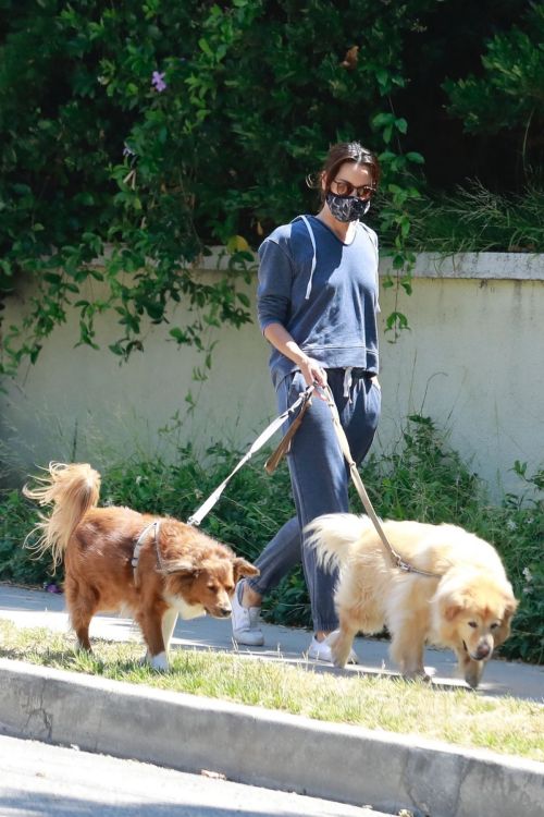Aubrey Plaza Walks Her Dogs Out in Los Feliz 2020/06/13 3