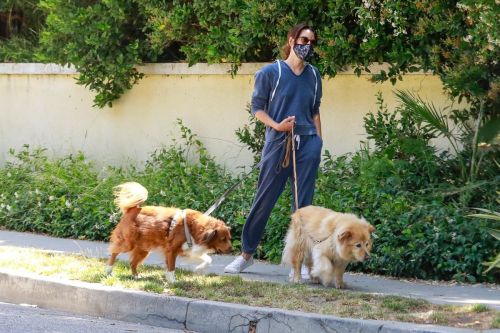 Aubrey Plaza Walks Her Dogs Out in Los Feliz 2020/06/13 4