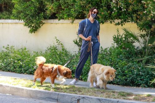 Aubrey Plaza Walks Her Dogs Out in Los Feliz 2020/06/13 8