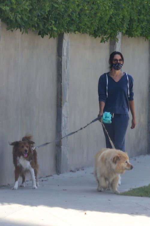 Aubrey Plaza Walks Her Dogs Out in Los Feliz 2020/06/13 5