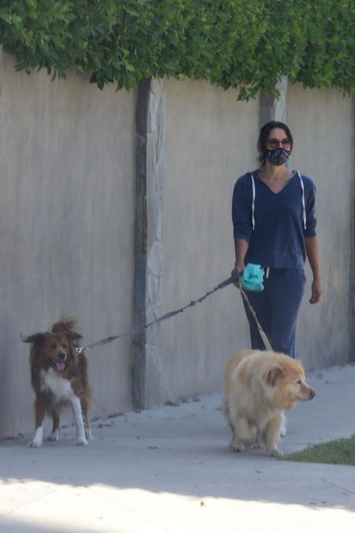 Aubrey Plaza Walks Her Dogs Out in Los Feliz 2020/06/13 9