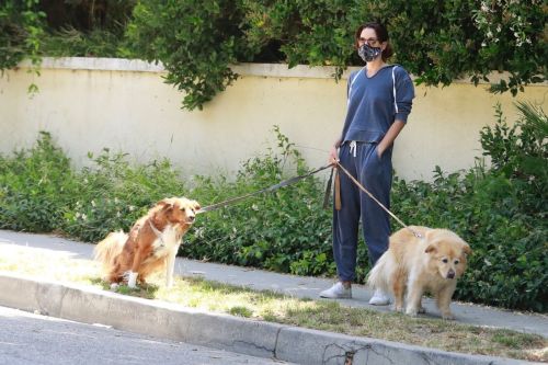 Aubrey Plaza Walks Her Dogs Out in Los Feliz 2020/06/13 11