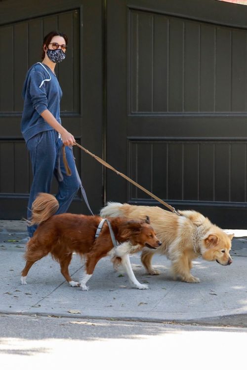 Aubrey Plaza Walks Her Dogs Out in Los Feliz 2020/06/13