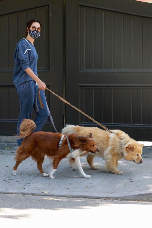 Aubrey Plaza Walks Her Dogs Out in Los Feliz 2020/06/13 12